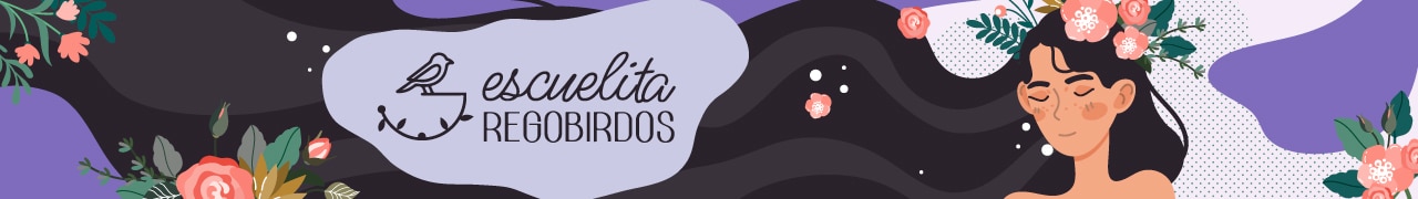 banner home escuelita regobirdos